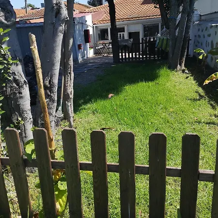 Apartamento Downtown Garden Terrace , Only One House Up To 21pax *
