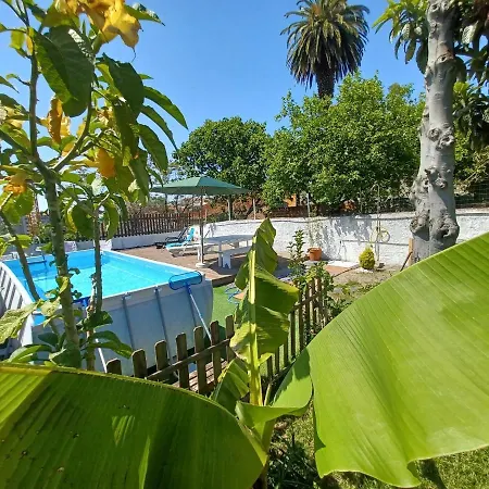 Downtown Garden Terrace , Only One House Up To 21pax Apartamento Oporto